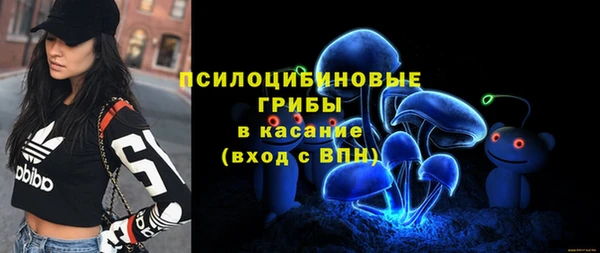 амф Краснослободск