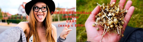 амф Краснослободск