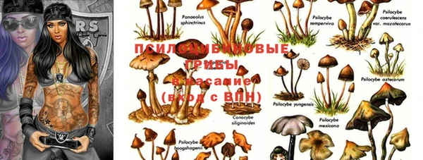 амф Краснослободск