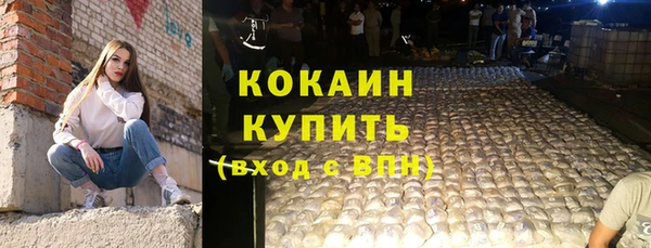 амф Краснослободск